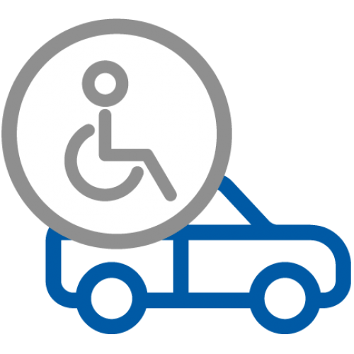 icona-disability